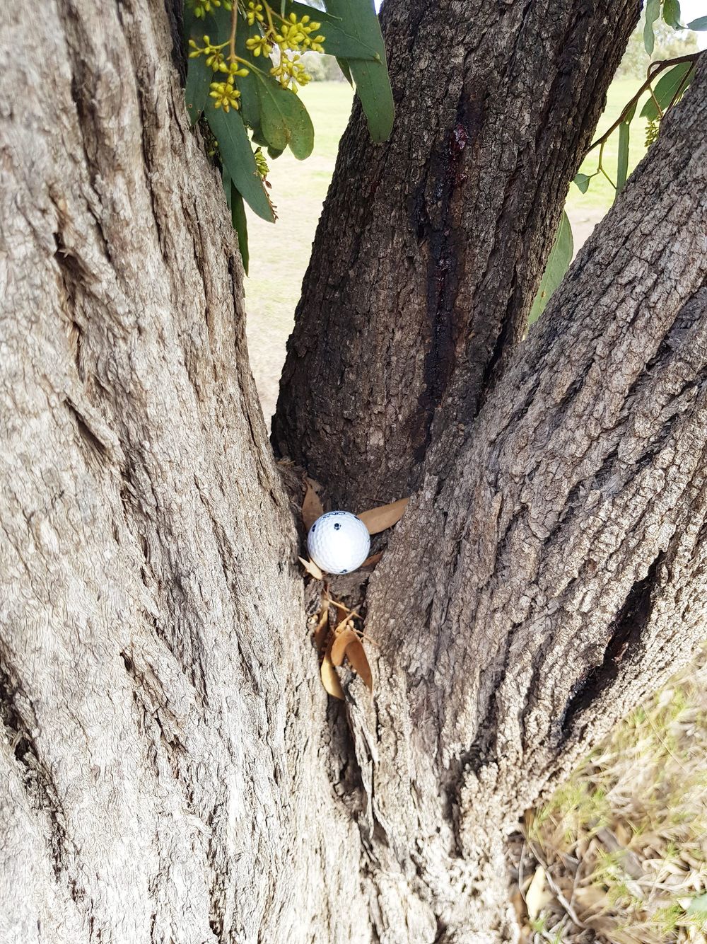 Down the Middle? post image