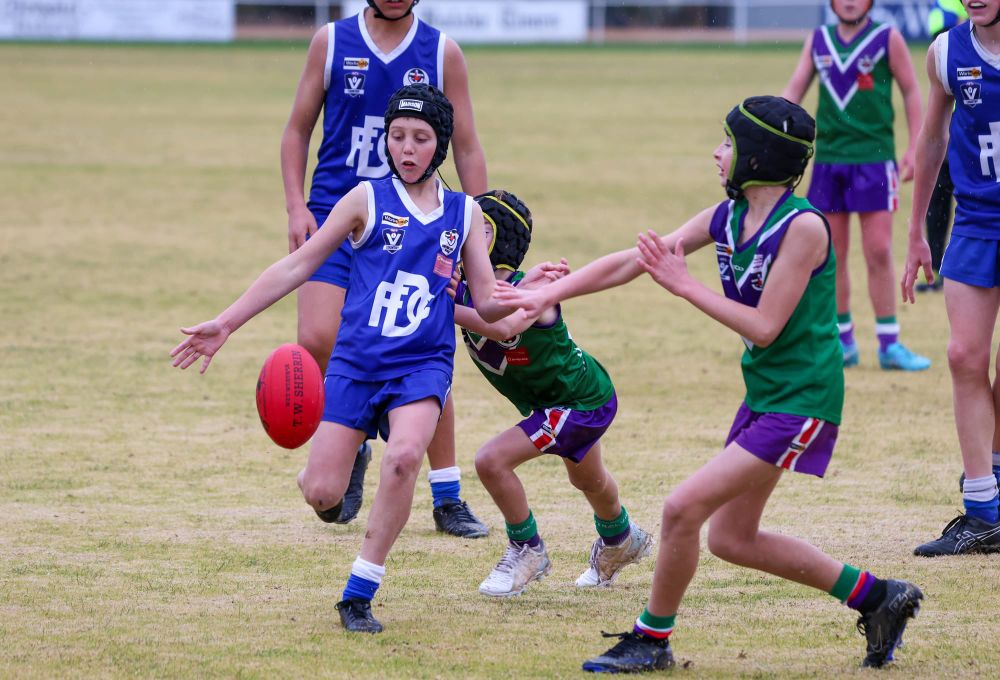 Big Day for Donald Juniors post image