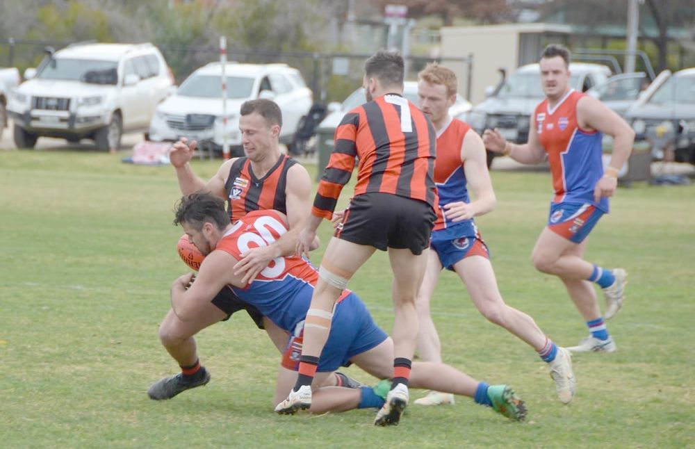 Saints Feel the Redbacks Bite post image