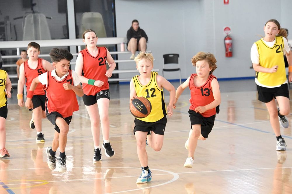 Full Round of Basketball post image