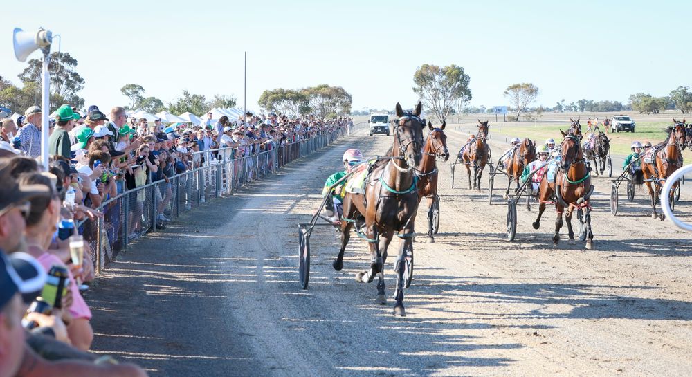 Electric Day for Birchip’s Running of the Bulls post image