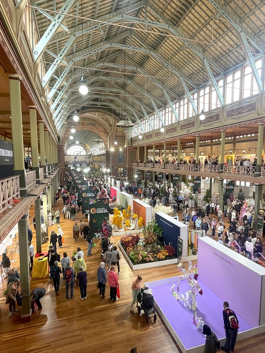 Exploring the Flower and Garden Show post image