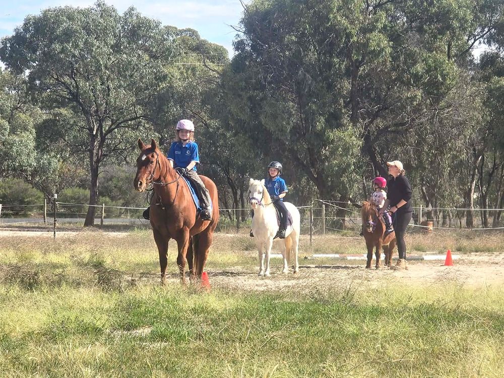 Donald Pony Club’s April Rally post image