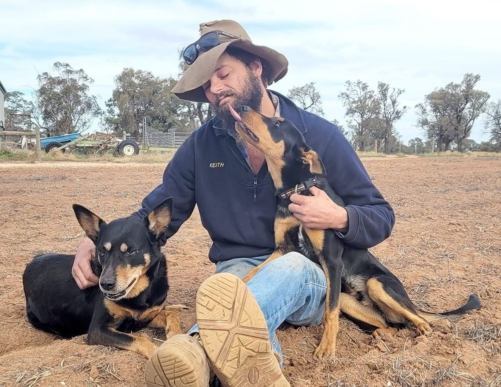 The Kelpie Conclusion post image