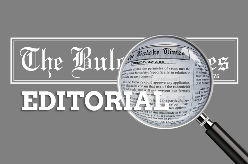 “ESVF – The Bush Won’t Forget” post image