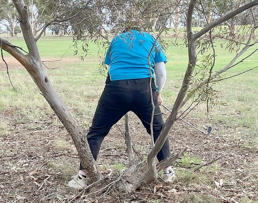 Down the Middle? post image