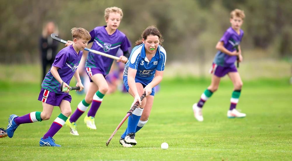 Mixed Results on the Hockey Field post image