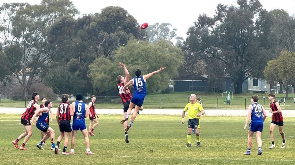 Wedderburn Too Strong for Donald post image