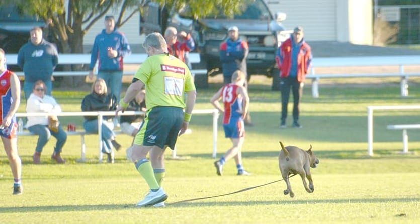 Saints Pull Away to Defeat Royal Blues post image