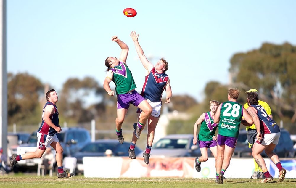 Lions Hold On for One-Point Win post image