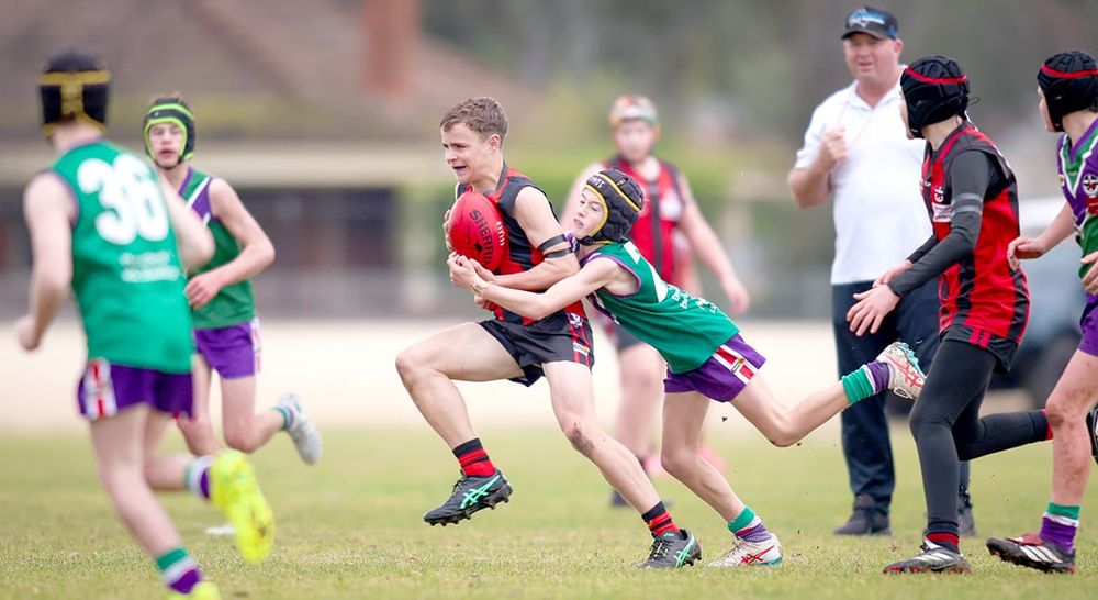 Bulls Bring Brilliant Battles post image