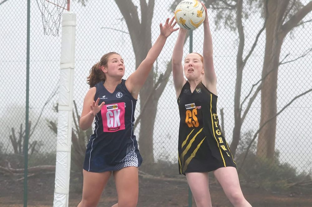 Tigers’ Clean Sweep on the Netball Courts post image