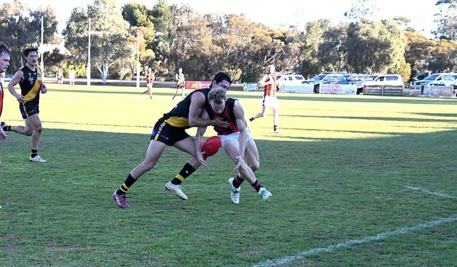 Statement Win for Tigers post image