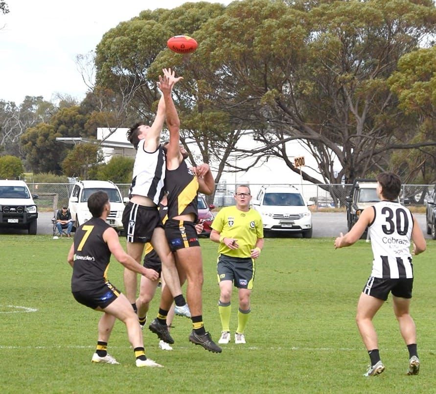 Tigers Take the Win post image