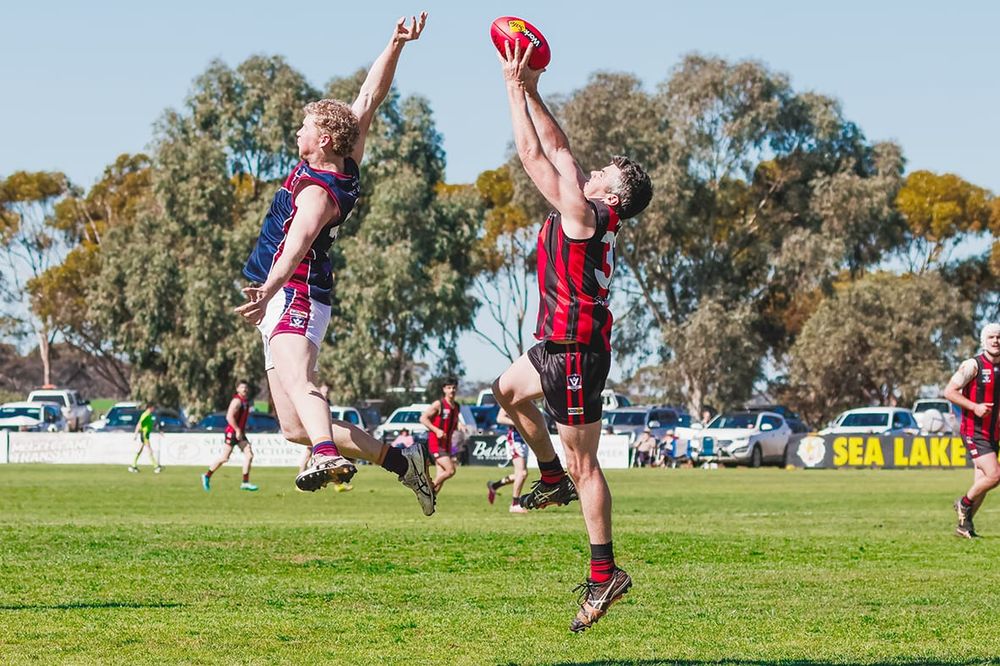 Redbacks Run  Riot Over Lions post image