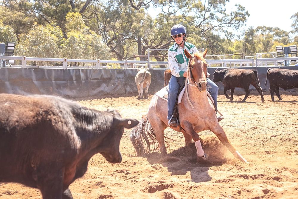 Campdrafting Action at Charlton post image