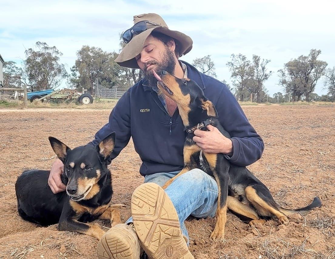 The Kelpie Conclusion post image