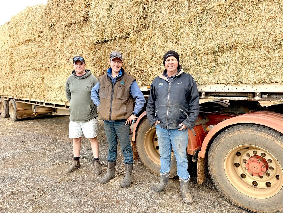Hay Today, Show Tomorrow post image