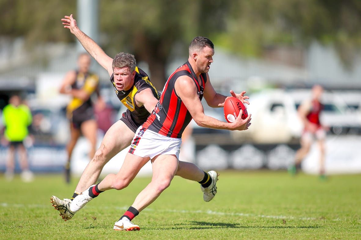 Can Redbacks Put Bite on Tigers? post image