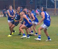 Donald Prepares for New Season post image