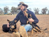 The Kelpie Conclusion post image