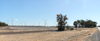 Government Assessment Advances Energy Park post image