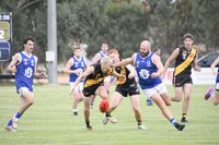 Tigers Roar as Blues Battle On post image