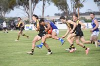 Tigers Dominate Donald post image