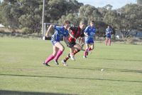 Redbacks versus Royal Blues Hockey post image