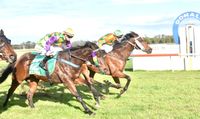 Hill and Nugent Claim Doubles at Donald post image