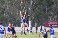 Blues Bounce Back at Charlton Park post image