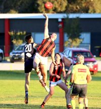 Wedderburn, A Class Above post image