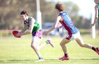One Each for Bulls and Lions Juniors post image