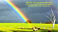 There’s a Rainbow! post image