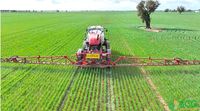 Look Before You Spray post image