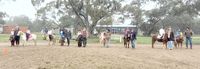 Strong Turnout at Donald Pony Club post image