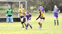 Bulls Battle Across the Grades post image
