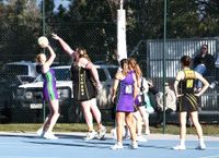 Bulls’ Netballers Build Momentum post image