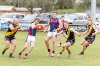 Confident Win for Determined Lions post image