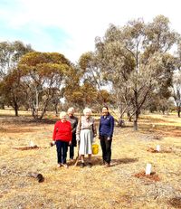 Pump Hut Reserve Blooms With New Life post image