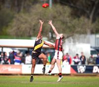 Redbacks’ Season at Risk? post image