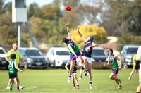 Bulls Charge into the Grand Final post image