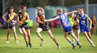 Tigers Too Strong as Royal Blues Bow Out post image