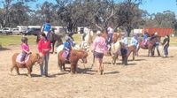 Donald Pony Club Geared Up for Show Day post image