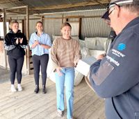Shearing at the Show! post image