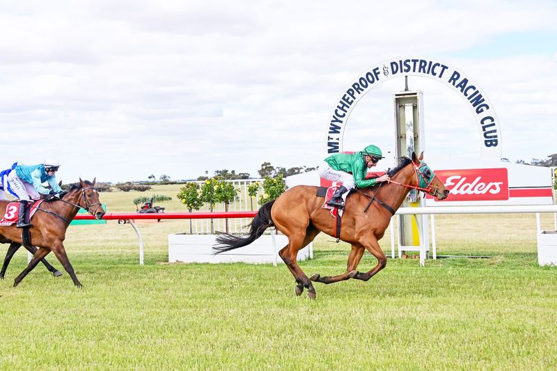 Don’t Make Me Wait Wins Mount Wycheproof Cup post image
