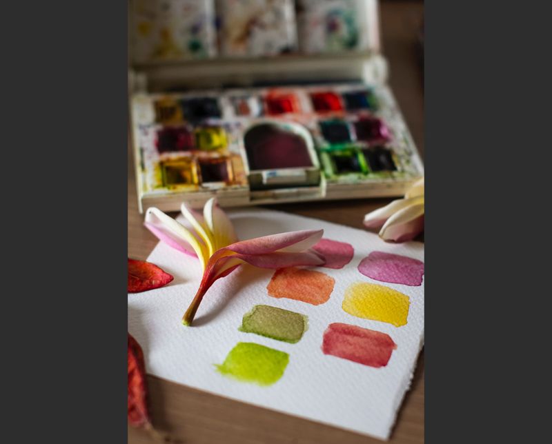 Forthcoming Exhibition – Diversity in Colour post image