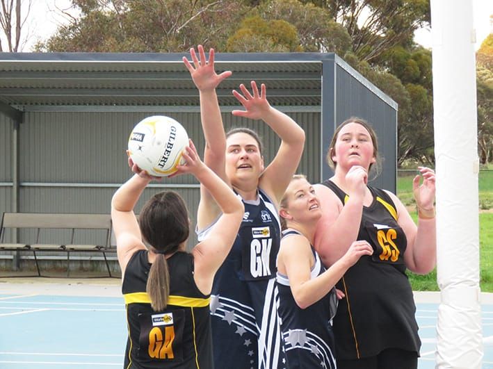 North-Central Netball post image