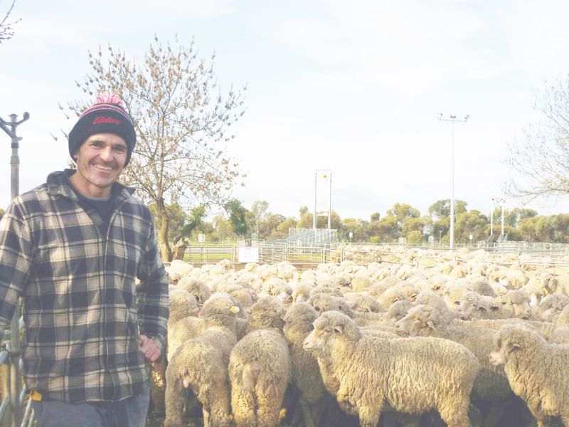 Positive Outlook Drives Wycheproof Sale Prices post image