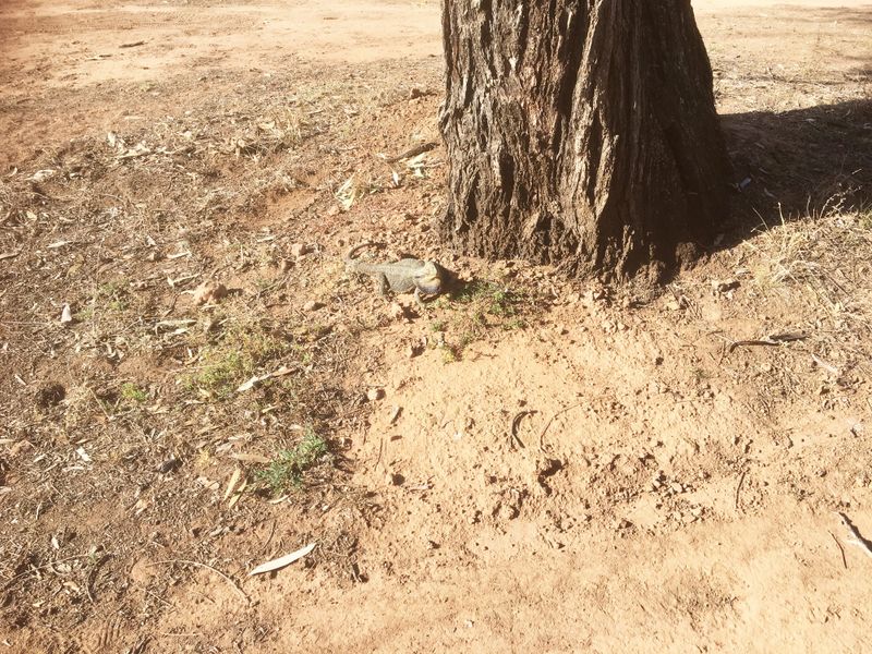 Down the Middle at Donald? post image